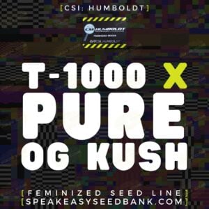 T1000 x Pure OG Kush by CSI Humboldt
