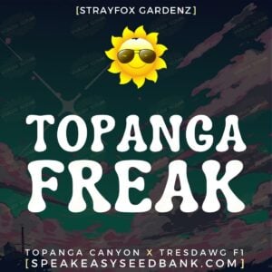 Topanga Freak by Strayfox Gardenz