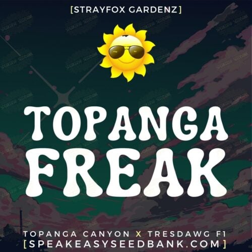 Topanga Freak
