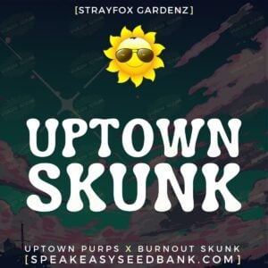 Uptown Skunk by Strayfox Gardenz