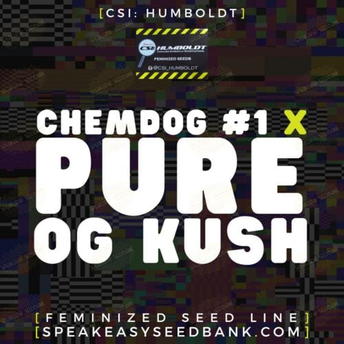 Chemdog #1 x Irene Kush