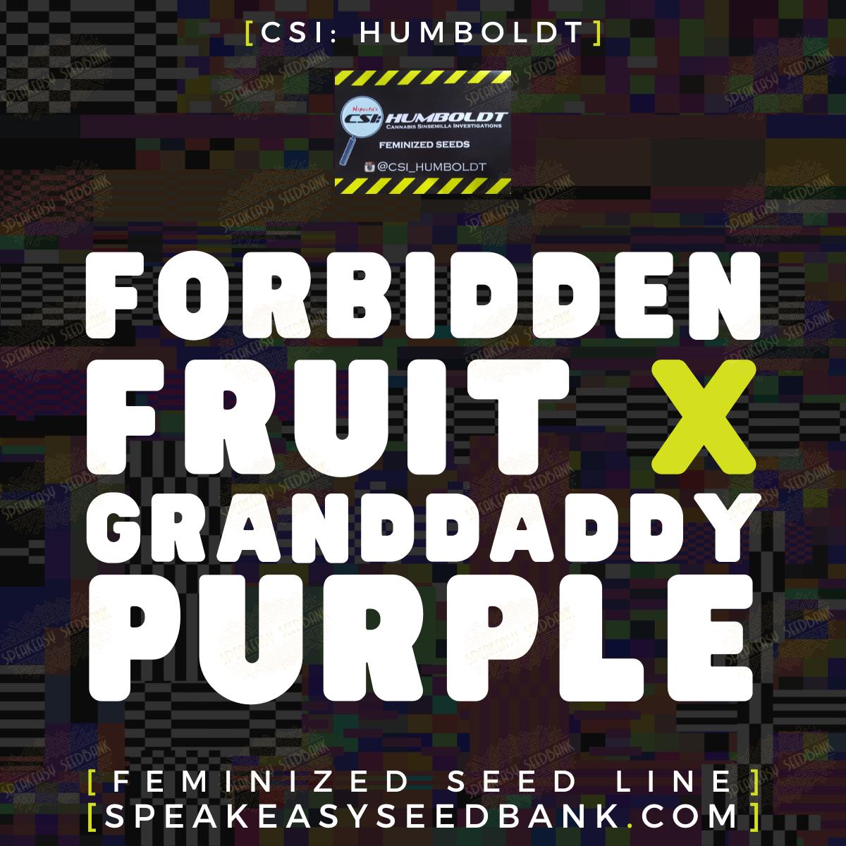 Forbidden Fruit x GrandDaddy Purple strain