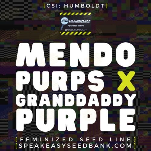 Mendo Purps x GrandDaddy Purple