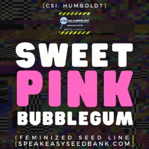CSI Humboldt presents Sweet Pink Bubblegum