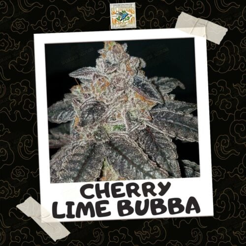 Cherry Lime Bubba