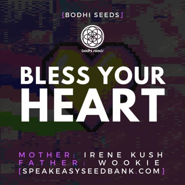 Bless Your Heart