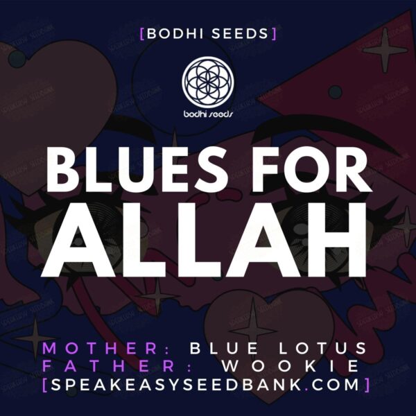 Blues For Allah