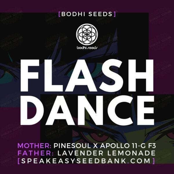 Flash Dance