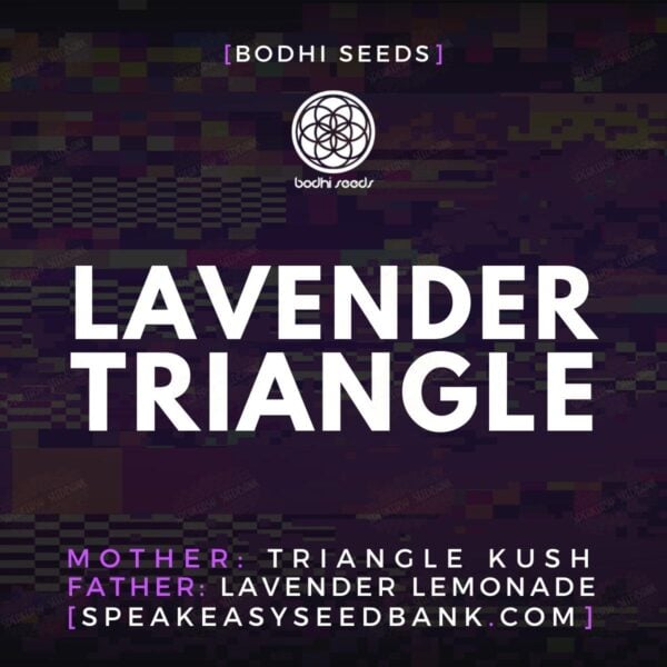 Lavender Triangle