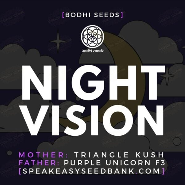 Night Vision