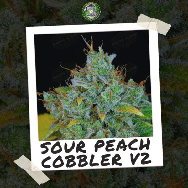 Sour Peach Cobbler V2