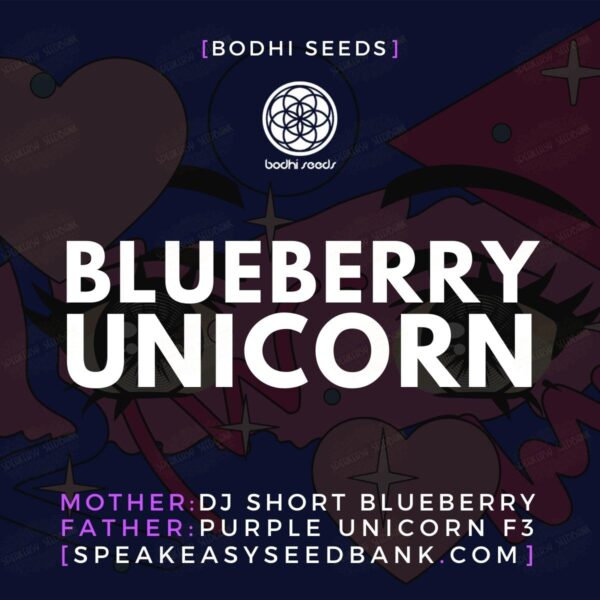 Blueberry Unicorn