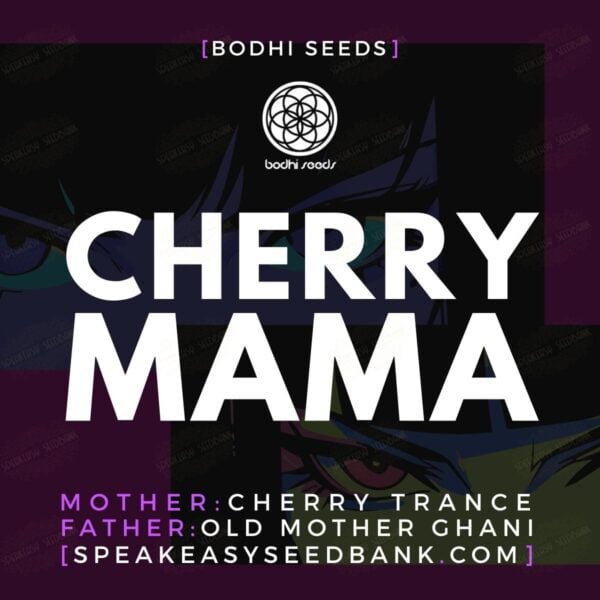 Cherry Mama