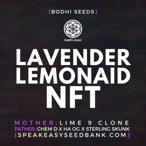 Lavender Lemonaid NFT