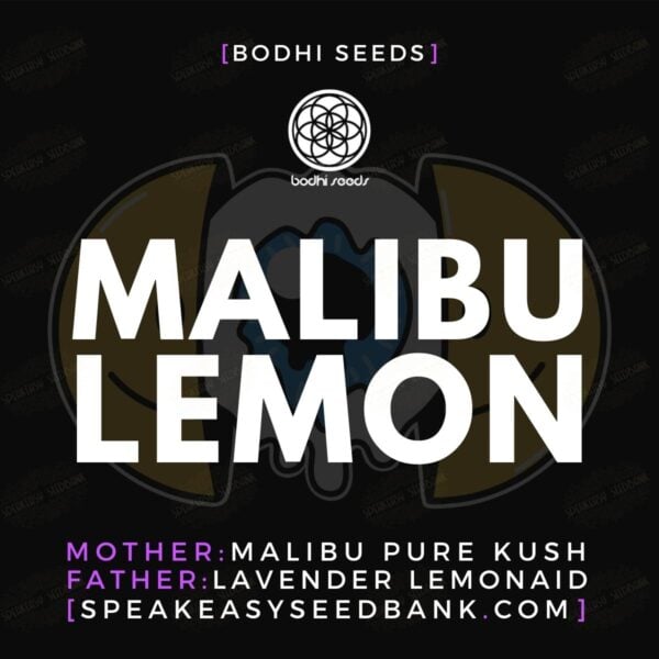 Malibu Lemon