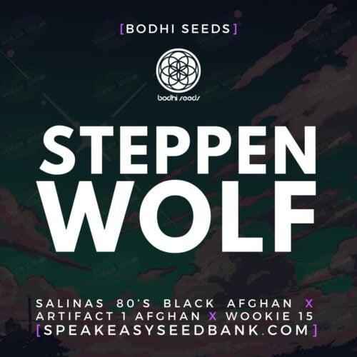 Steppenwolf
