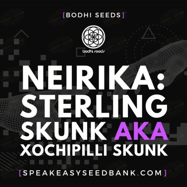 Neirika: Sterling Skunk aka Xochipilli Skunk
