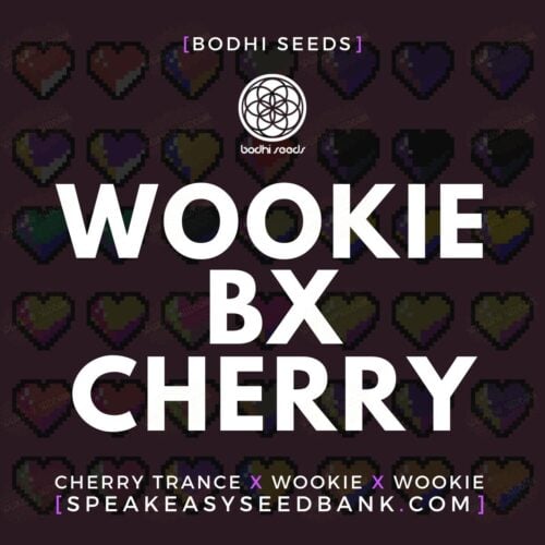 Wookie BX Cherry