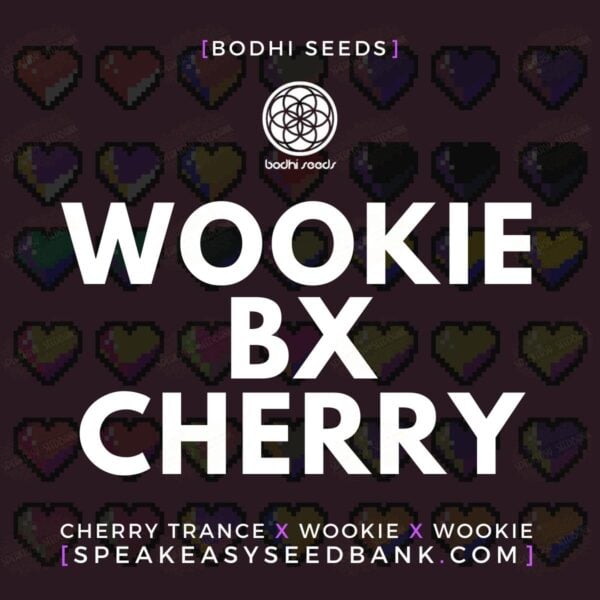Wookie BX Cherry