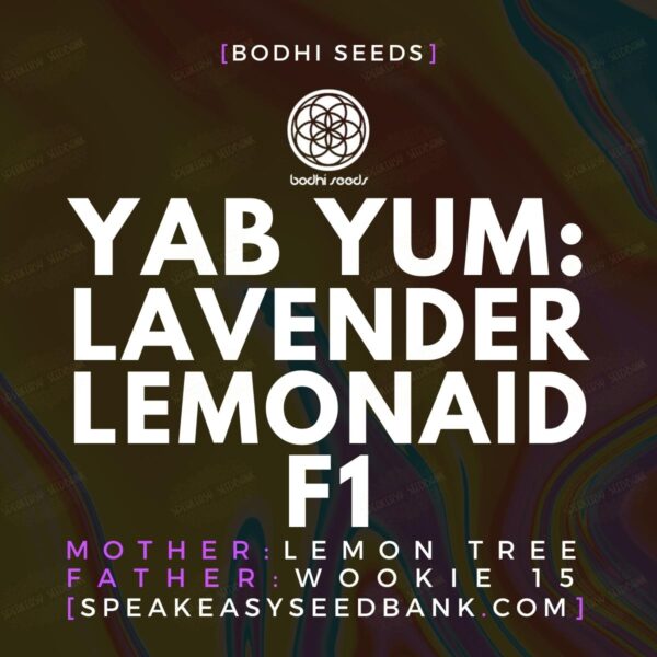 Yab Yum: Lavender Lemonaid F1